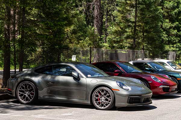 silver porsche in the trees