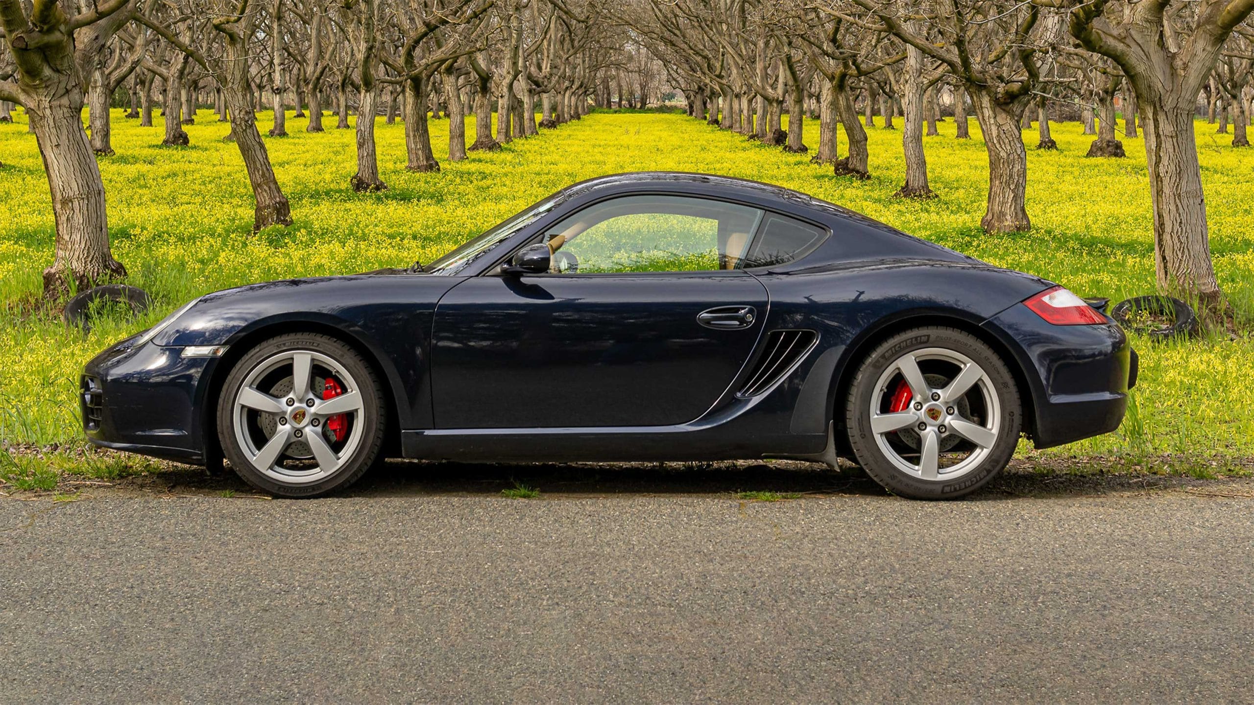 Photo of a Porsche in front of an orchard of Walnut trees