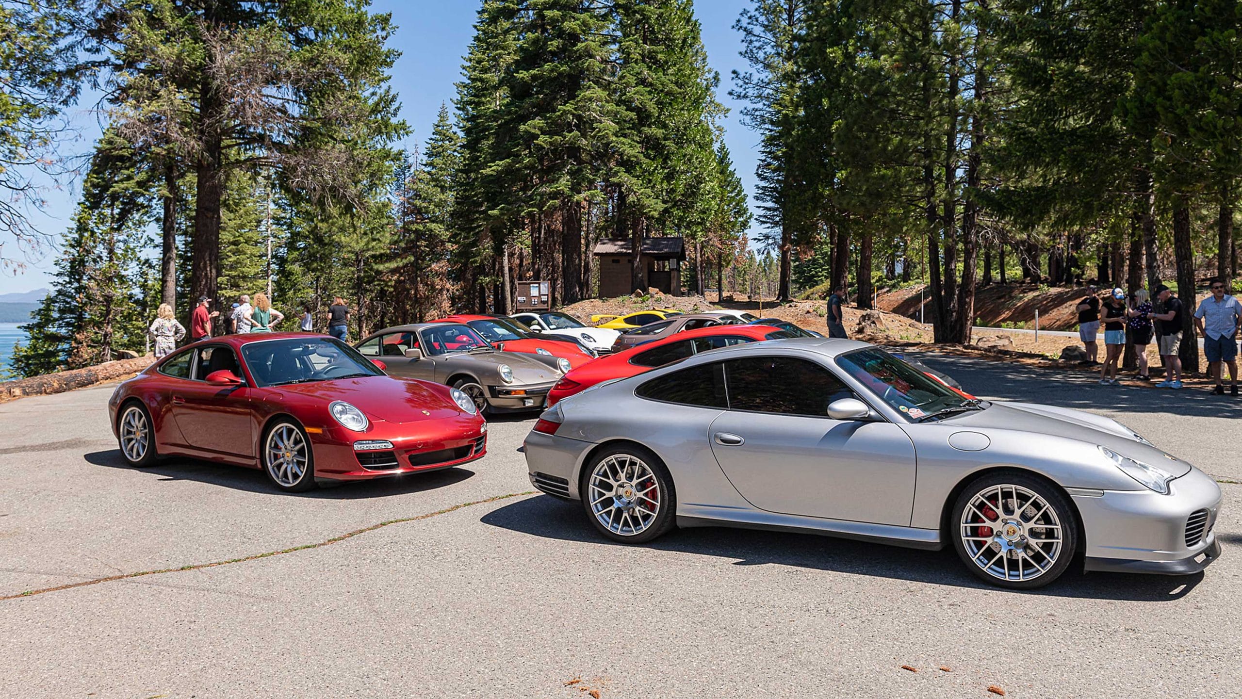 Photo of Porsches in a parking lot surrounding by trees